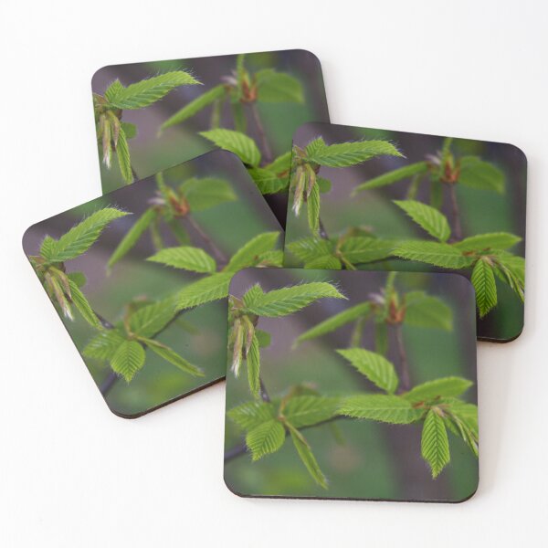Item preview, Spring Theme Elegant Green Leaves  Bud Photo designed and sold by wenjunior.