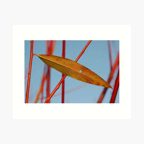 Item preview, Leaf Elipse designed and sold by ApeArt.
