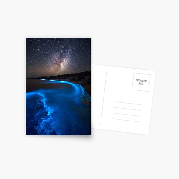 Milky Bioluminescence - 2nd Edition Postcard
