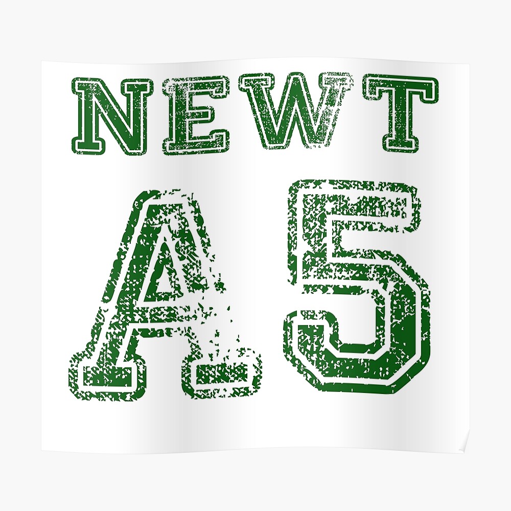 Albums 103+ Pictures Best Glue For Photos To Poster Board Updated