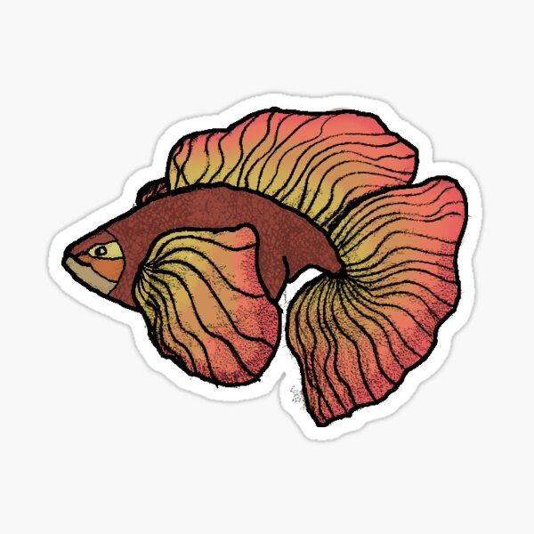 Fancy goldfish Sticker