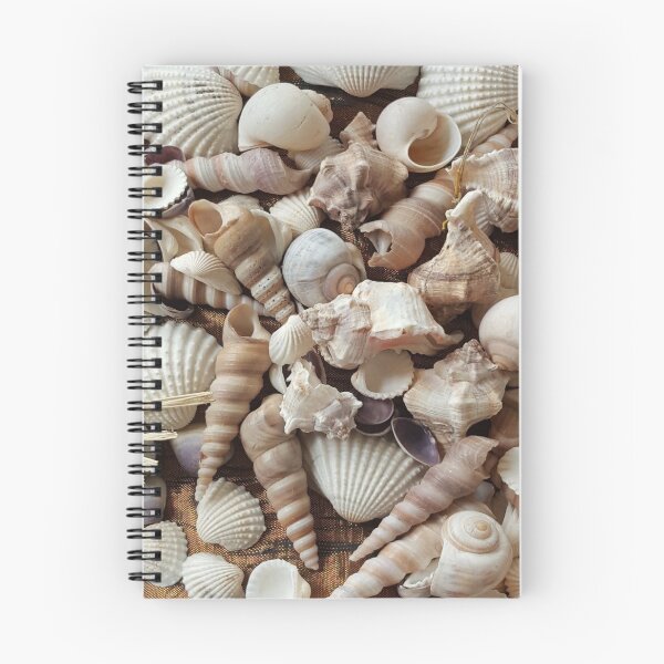 Item preview, Tropical Sea Shells Photography designed and sold by URSparklingShop.