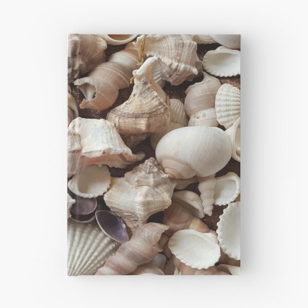 Item preview, Tropical Sea Shells Photography designed and sold by URSparklingShop.