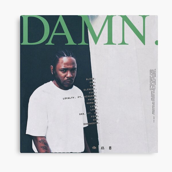 Damn Canvas Print