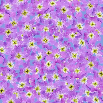 Artwork thumbnail, Spring Fever by Christine Lake