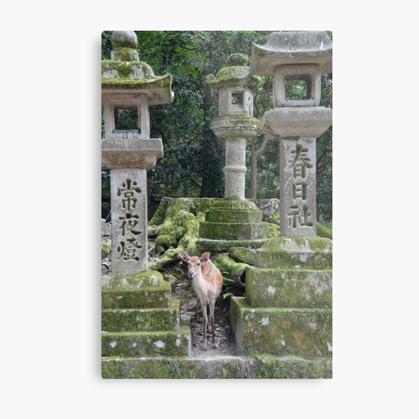 Nara, Japan Metal Print