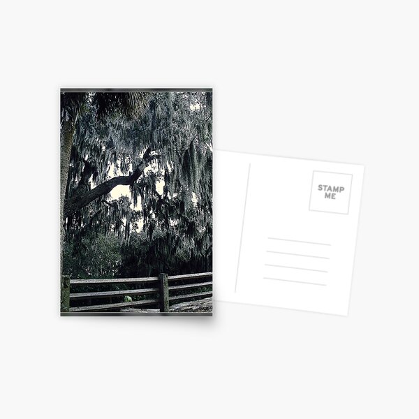 Item preview, Grey Spanish Moss designed and sold by Ginny Schmidt.