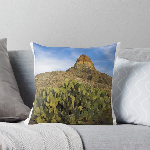 Aperçu de l'œuvre Cerro Castellan, Texas créée et vendue par Tamas Bakos.