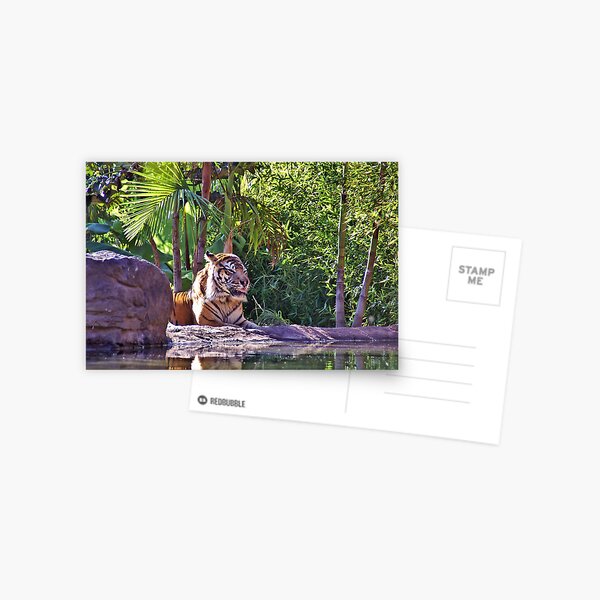 Item preview, at the waters edge ... designed and sold by rogersmith.