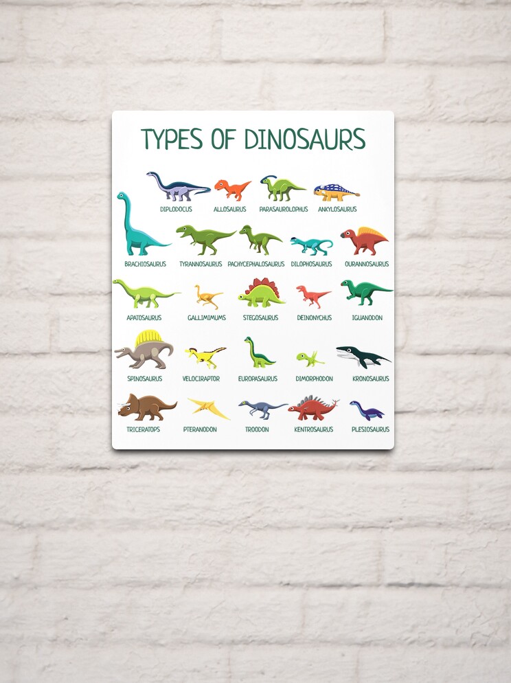 Kids Types Of Dinosaurs Dino Identification Poster