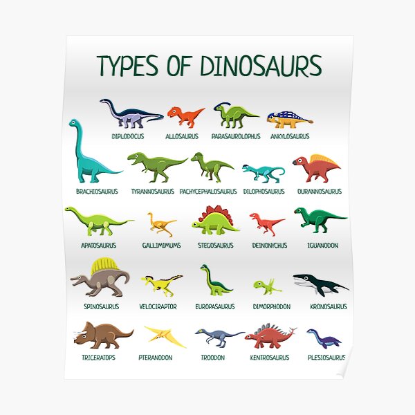 "Kids Types Of Dinosaurs Dino Identification" Poster for Sale by