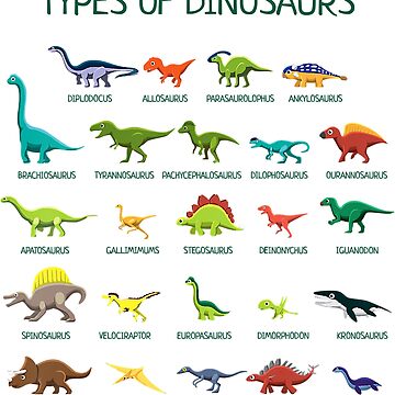 Kids Types Of Dinosaurs Dino Identification