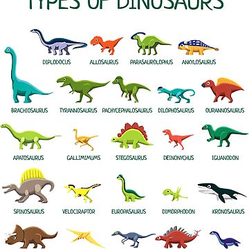 Kids Types Of Dinosaurs Dino Identification Poster for Sale by