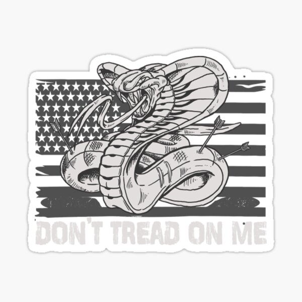 Funny Parody Meme Snake Dont Tread On Me No Step on Snek meme funny Patch  badge 2x3 - Price history & Review, AliExpress Seller - LIBERWOOD Official  Store
