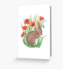schüchterner Hase unter Mohnblumen Grußkarte