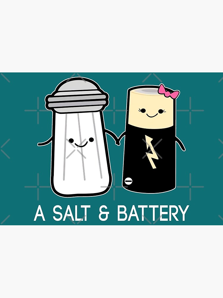 Sexy Salt and Pepper shakers that look like batteries are pretty