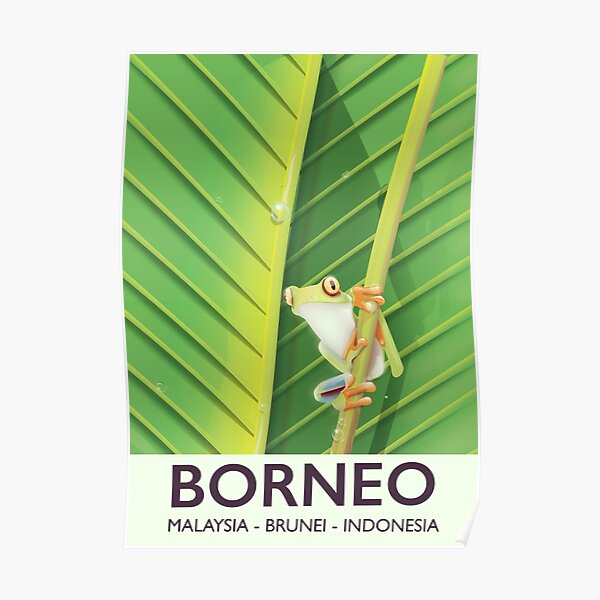 Borneo frog travel poster Poster