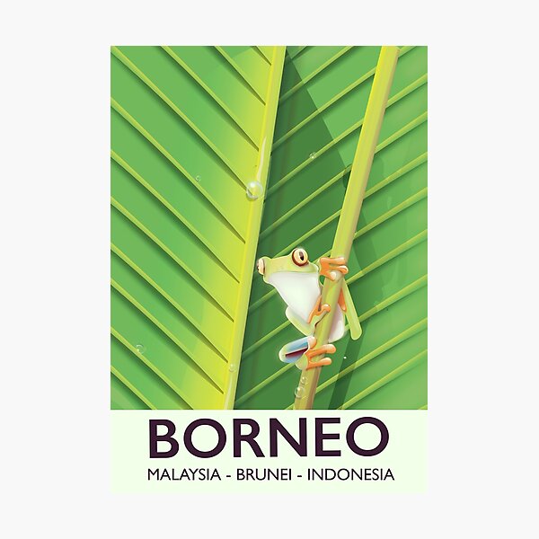Borneo frog travel poster Photographic Print