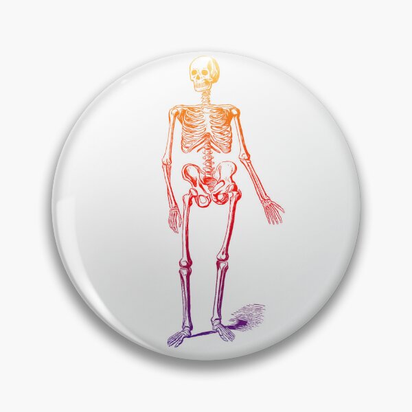 Item preview, Colorful Skeleton: Edited Version of J Murray's Skeleton of a Man (1890) designed and sold by TeachUrb.