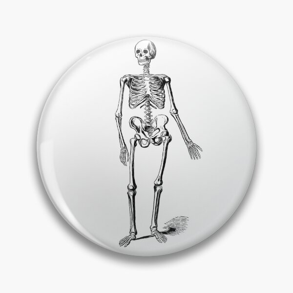 Item preview, Black and White Skeleton: Edited Version of J Murray's Skeleton of a Man (1890) designed and sold by TeachUrb.