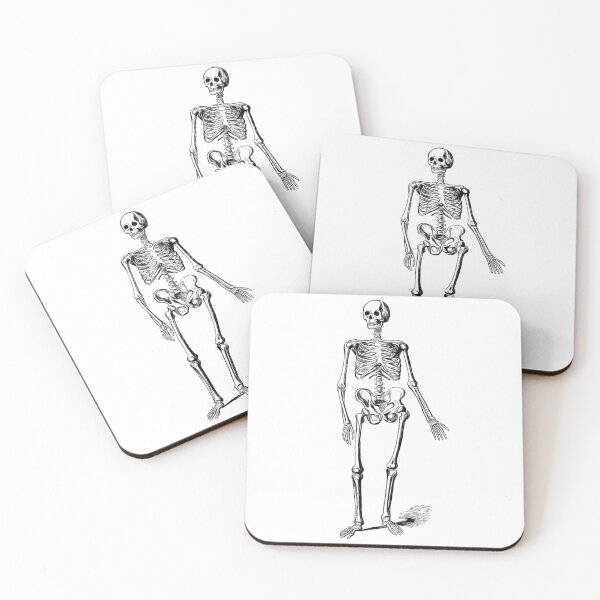 Item preview, Black and White Skeleton: Edited Version of J Murray's Skeleton of a Man (1890) designed and sold by TeachUrb.