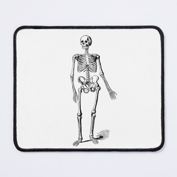 Item preview, Black and White Skeleton: Edited Version of J Murray's Skeleton of a Man (1890) designed and sold by TeachUrb.