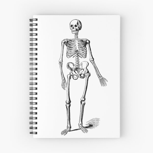 Item preview, Black and White Skeleton: Edited Version of J Murray's Skeleton of a Man (1890) designed and sold by TeachUrb.