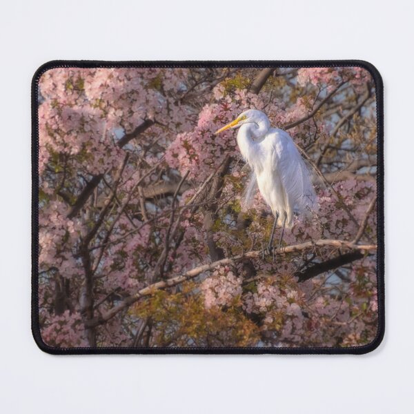 Item preview, Great Egret Blossoms designed and sold by Owed To Nature.