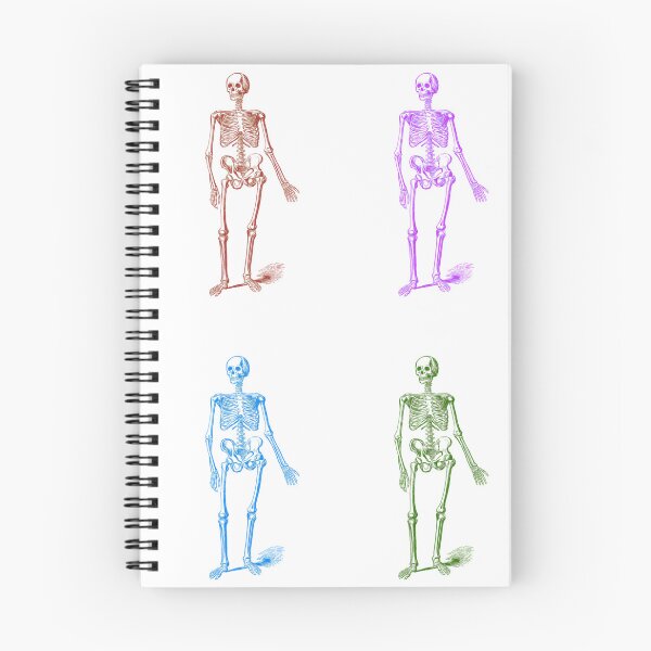 Item preview, Colorful Skeletons: Edited Version of J Murray's Skeleton of a Man (1890) designed and sold by TeachUrb.
