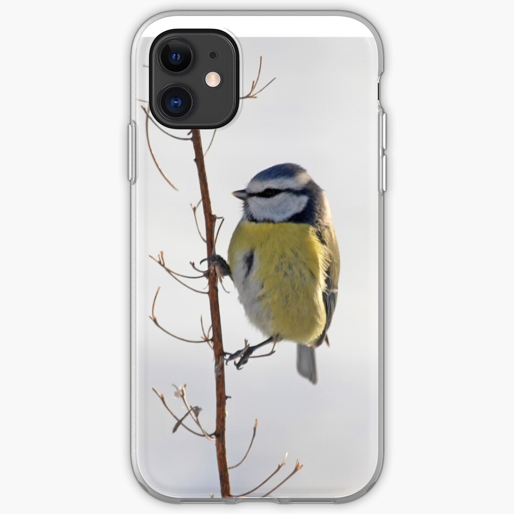 Blue Tit in winter iPhone Case & Cover