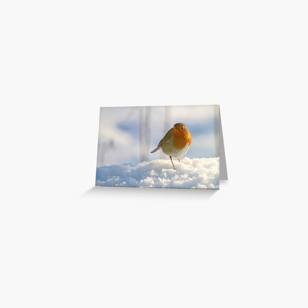 Item preview, Greeting Card designed and sold by orcadia.