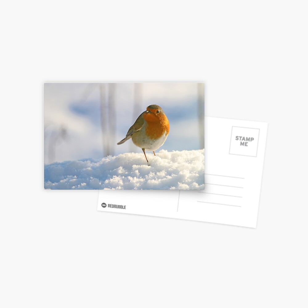Item preview, Postcard designed and sold by orcadia.