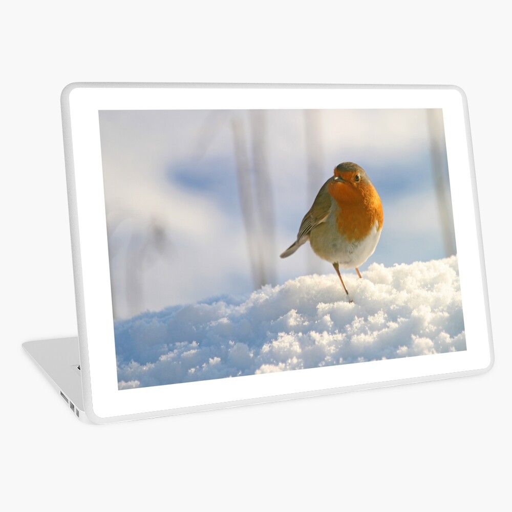Item preview, Laptop Skin designed and sold by orcadia.