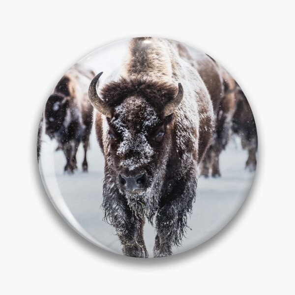Artikelvorschau, Bison-Bullen, die im Schnee treten entworfen und verkauft von YunekOriginals.