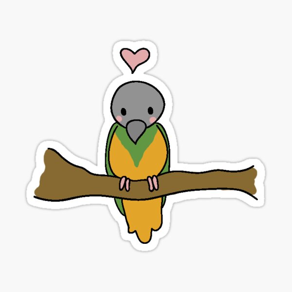 Senegal Parrot Sticker