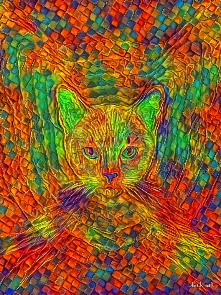 Cat by blackhalt