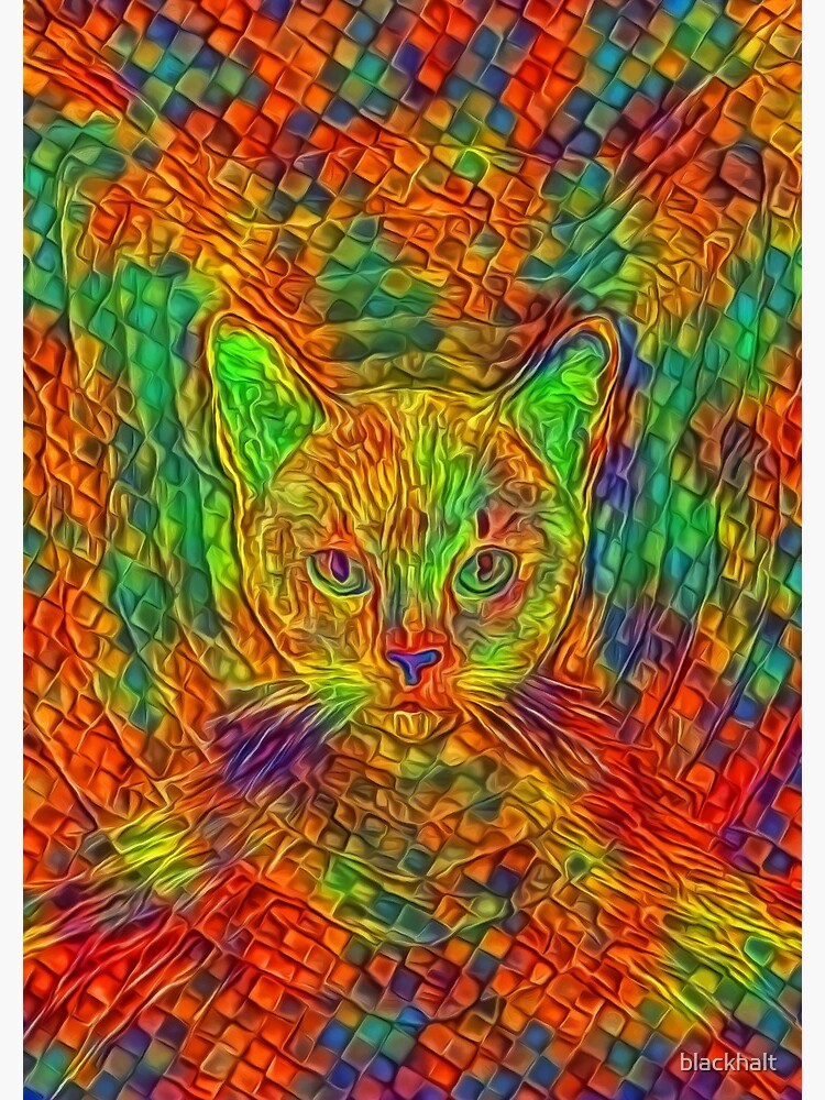 Cat by blackhalt