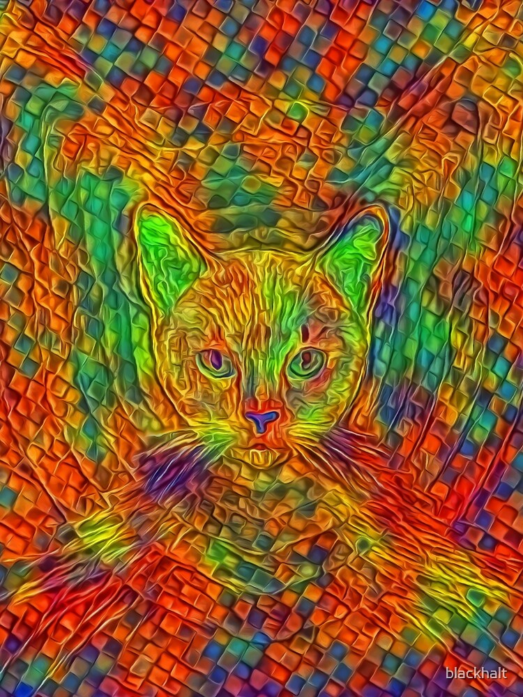 Cat by blackhalt