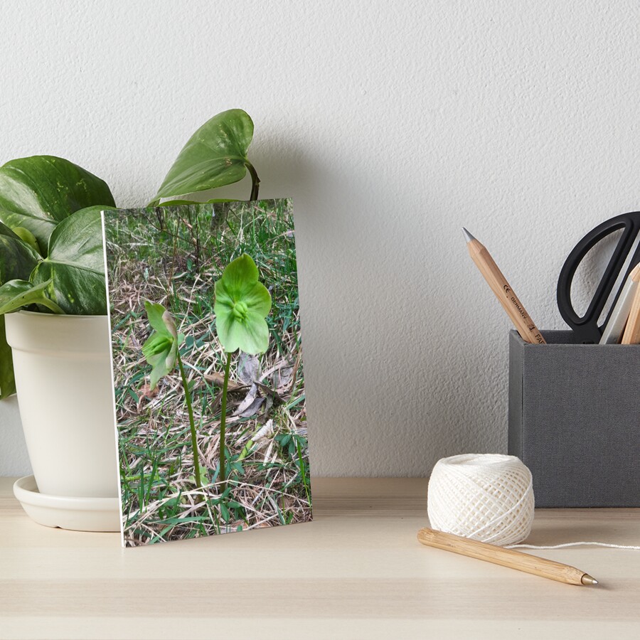 Item preview, Art Board Print designed and sold by ephotocard.