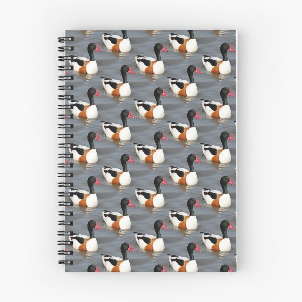 Item preview, Common Shelduck designed and sold by Yampimon.