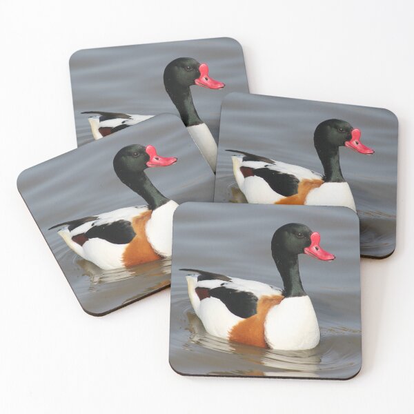Item preview, Common Shelduck designed and sold by Yampimon.