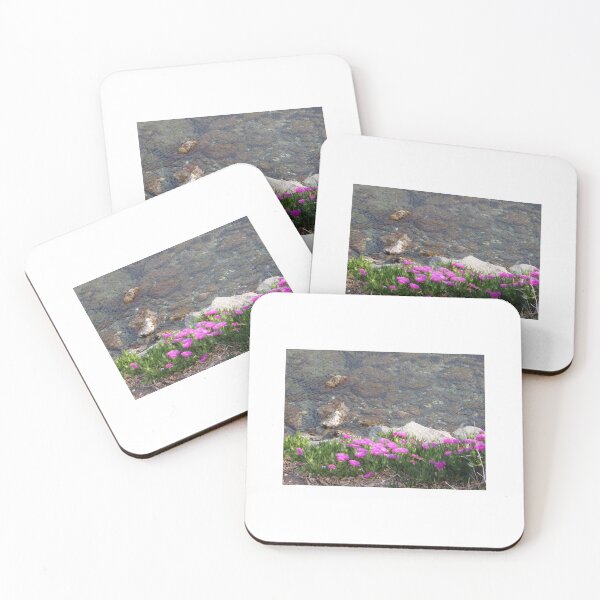 Item preview, Cadaqués Trailing Ice Plant  designed and sold by SuzyQS.