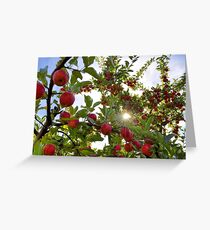 Apples to Infinity Greeting Card