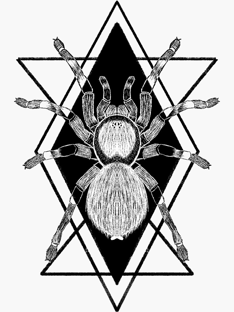 &ldquo;Geometric Tarantula&rdquo; Sticker by FallenAither | Redbubble