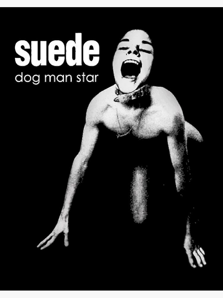 Suede Dog Man Star
