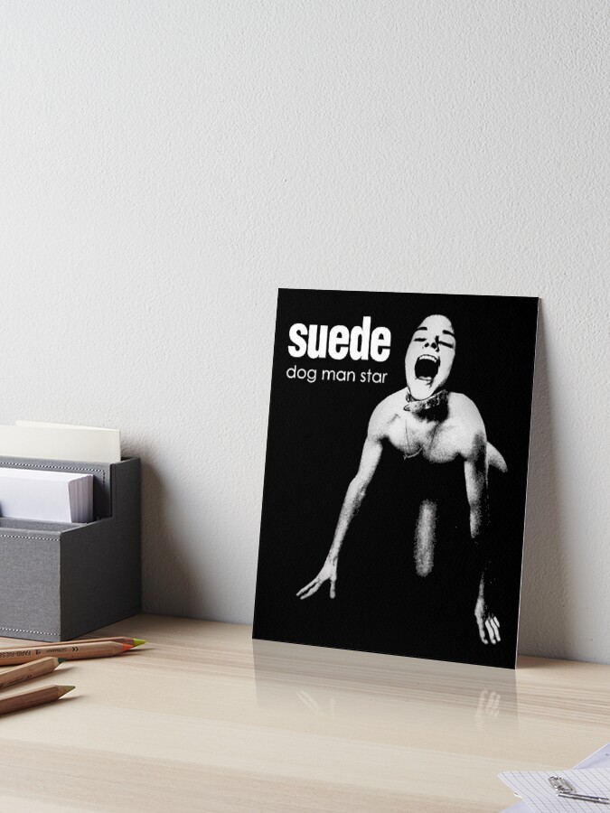 Suede Dog Man Star