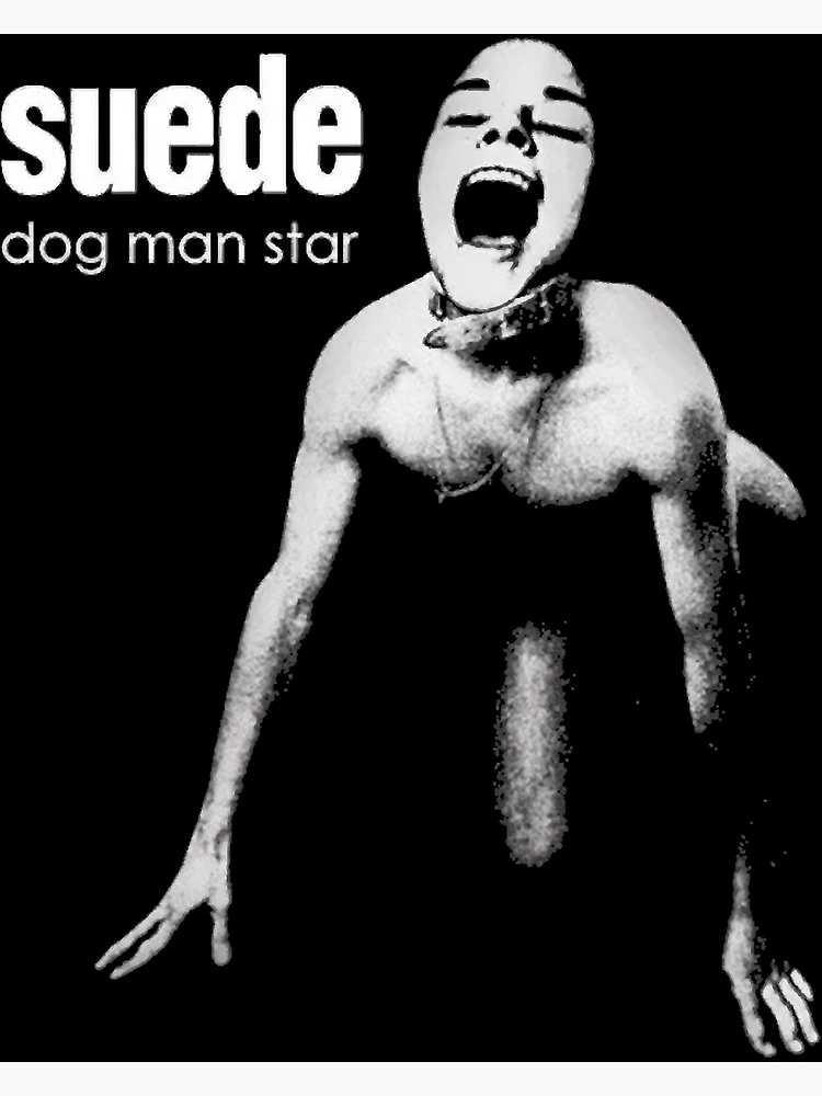 Suede Dog Man Star