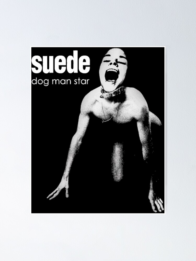 Suede Dog Man Star