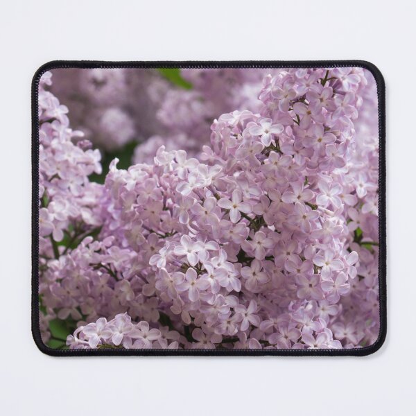 Item preview, Springtime Aromatherapy - Sweet Smelling Lilac Abloom designed and sold by Georgia Mizuleva.