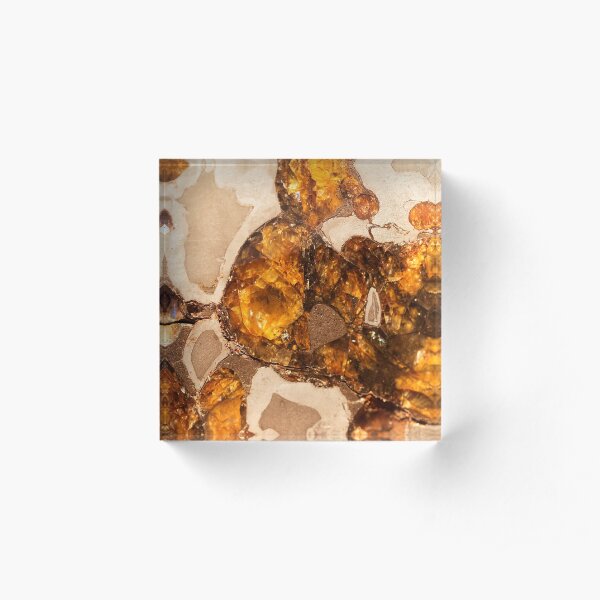 Macro photo of the Pallasovka meteorite Acrylic Block